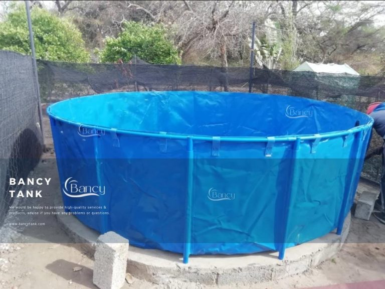 Zambia Customer Tilapia Farming in Tanks Bancytank